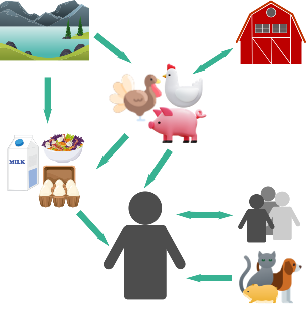 Routes of transmission