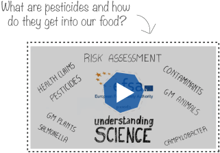 Watch video: What are pesticides and how do they get into our food?